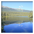 2007